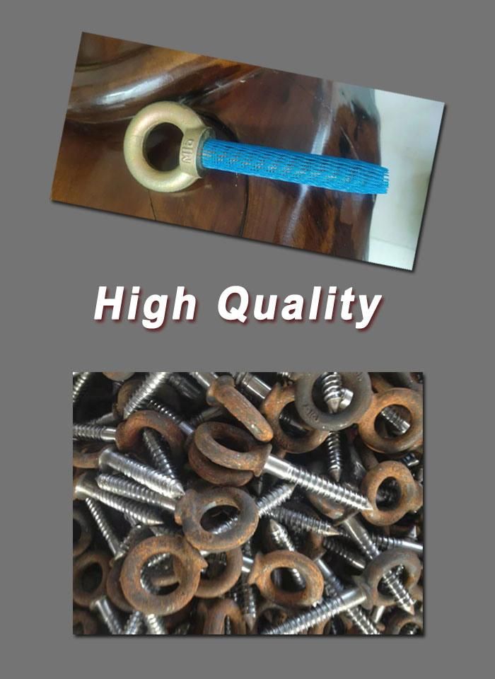 Hardware Accessories Forged Eye Bolt