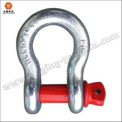 Alloy Steel Bow Shackle Hot DIP Galvanized Drop Lifting Marine Bow Shackle