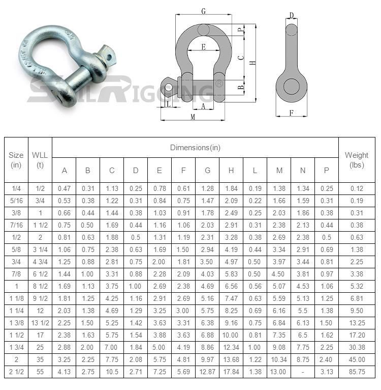 Hot DIP Galvanized Us Type Steel Bow Shackle