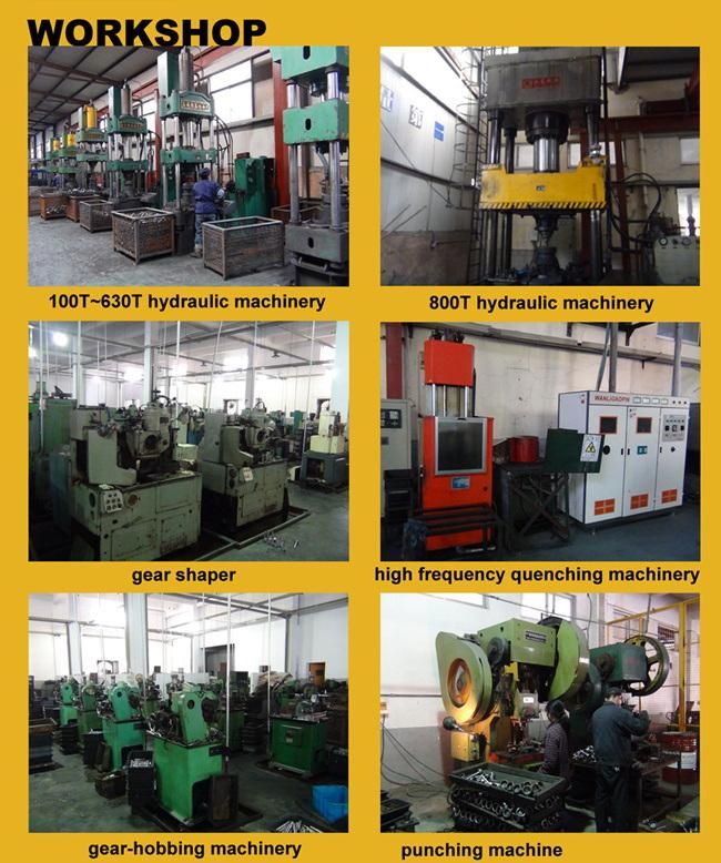 Stainless Steel Roller Timing Forged Chain