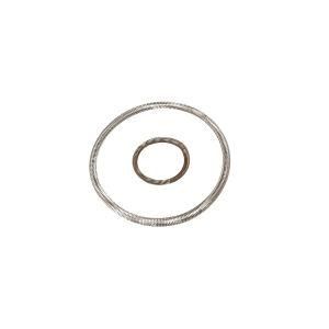 Custom High Precision Oil Seal Spring