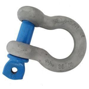 Marine Hardware Different Size D Type Shackle Bow Shackle