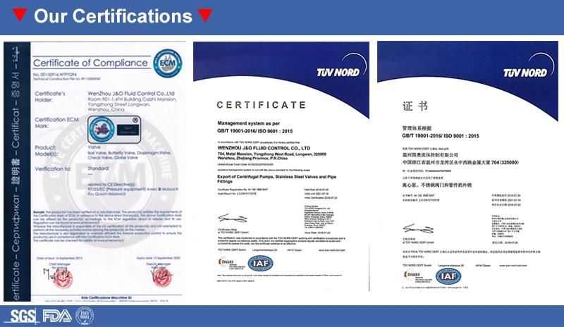 SS304 SS316L Casting 13 ISO-3p Three Pieces Clamp