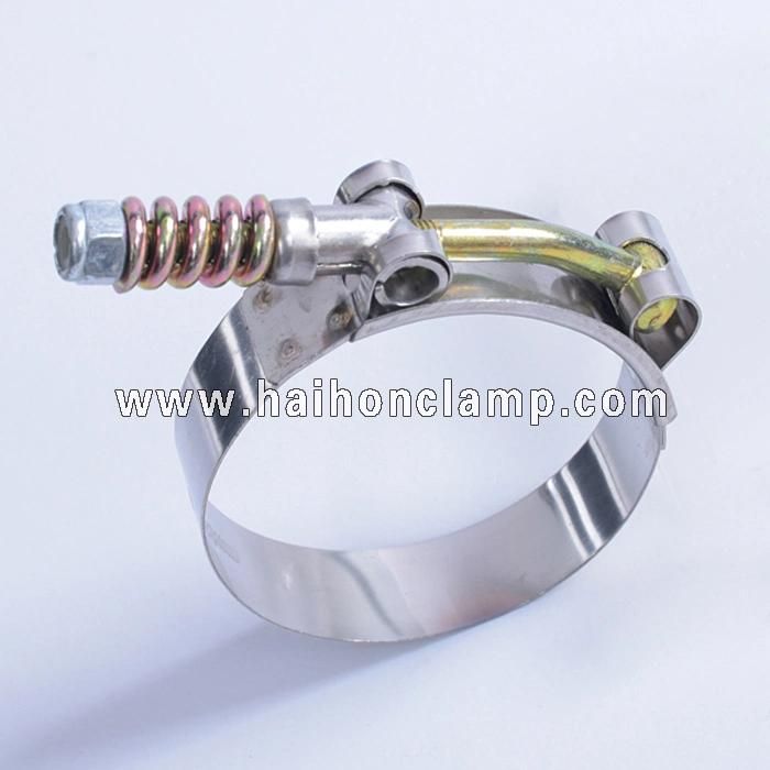 Spring Loaded T-Bolt Hose Clamp