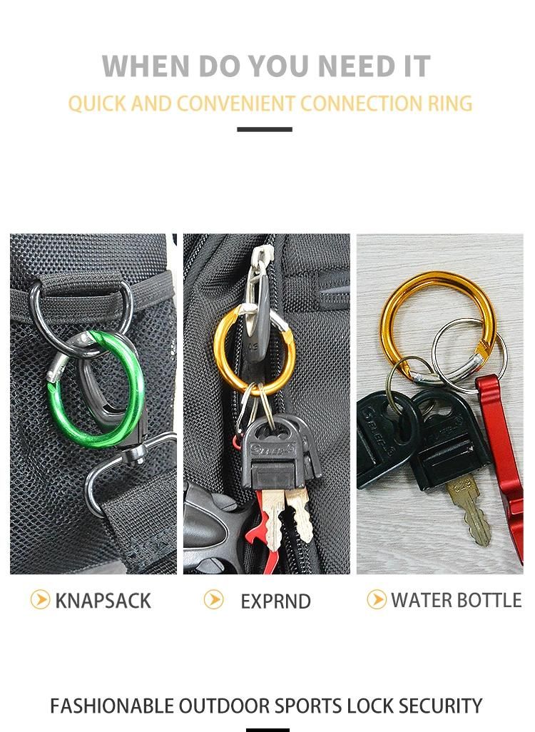 Aluminum Round-Ring Spring Loaded Small Keychain Carabiner Clip