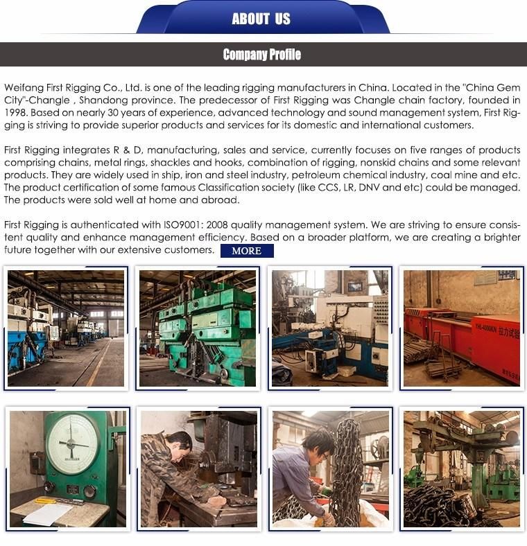 Factory Supply Powder Coating Lashing Chain with ISO9001 Certificates