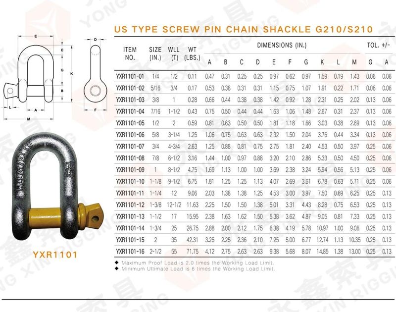 Wholesale Hardware Rigging Galvanized Us Type Drop Forged Carbon Steel G210 Shackle Straight Dee D Shape Chain Anchor Shackle