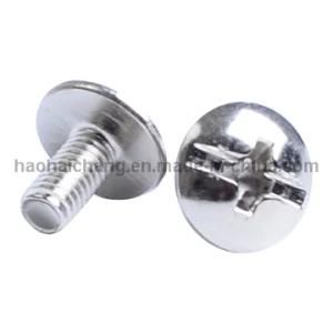 Stainless Steel Pen Head Thread Screw