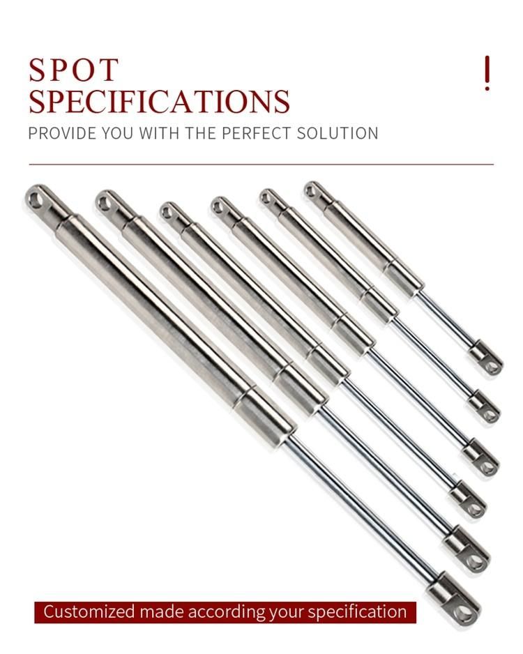 SS316 Gas Springs with SS316 Ball Studs Hot Sale