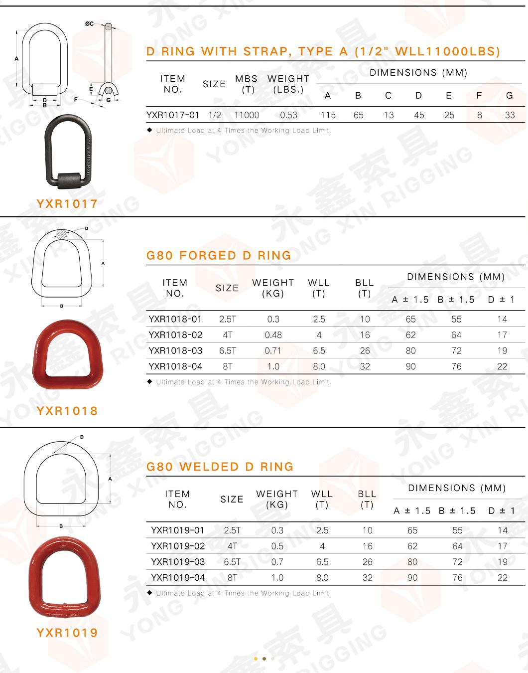 1/2" Wll 11000lbs Strap Type a Forged D Link D Ring|Customized Forged Lashing D Ring