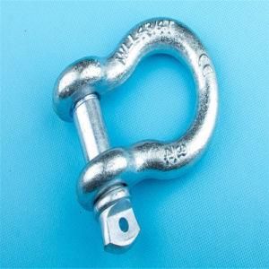 Us Type Lifting Screw Pin Bow Shackle