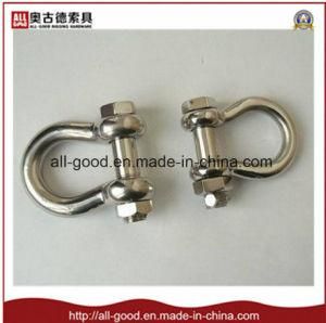 Stainless Steel 304/316 Safety Shackle with High Quality