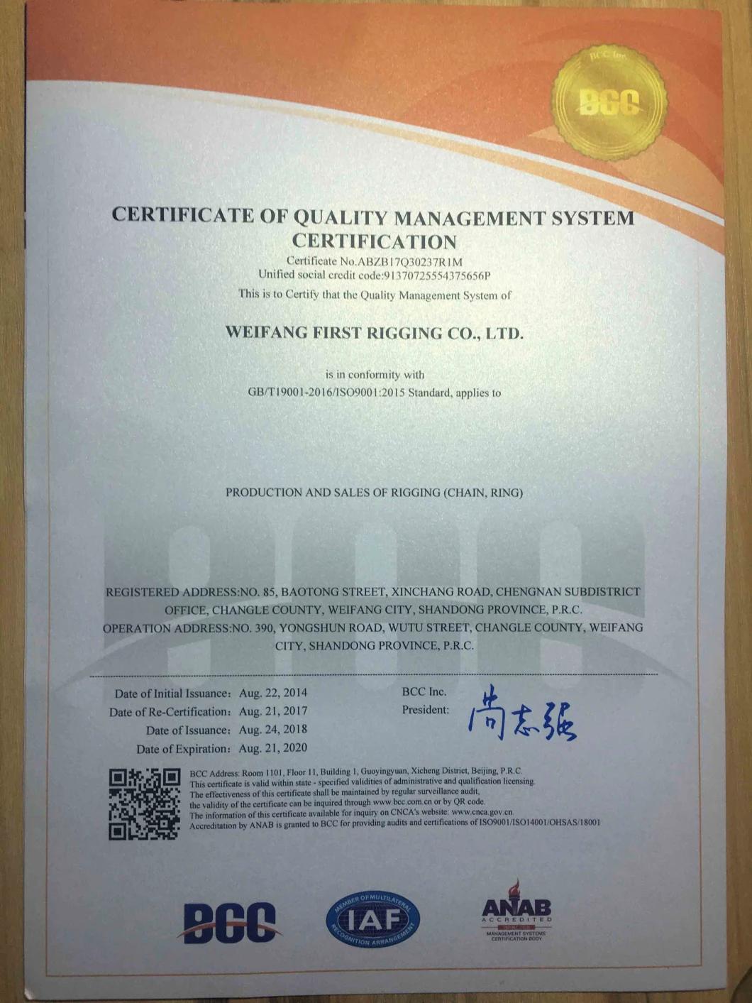 Chinese Manufacturer of G80 Clevis Grab Hook