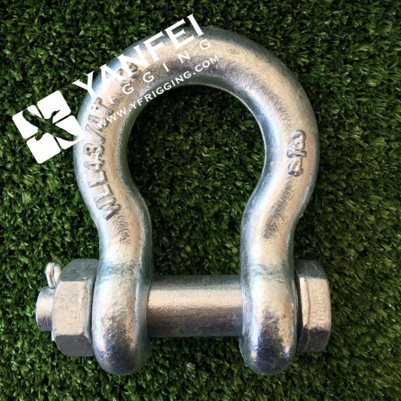 Us Type G2130 Bow Shackle with Screw Pin