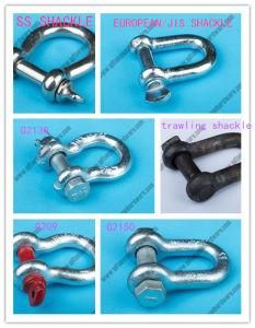 European Type Marine D Shackle