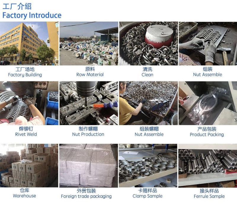 Sanitary Stainless Steel Tc Clamp Dairy Industry/Wine