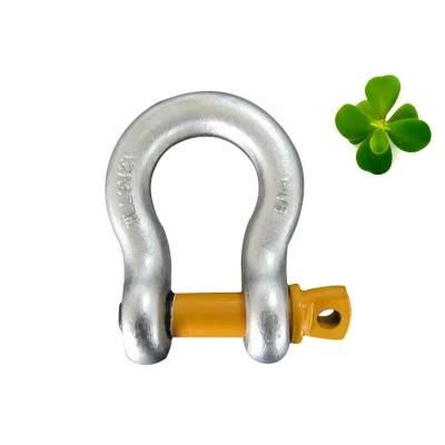 Bolt Type Anchor Shackle