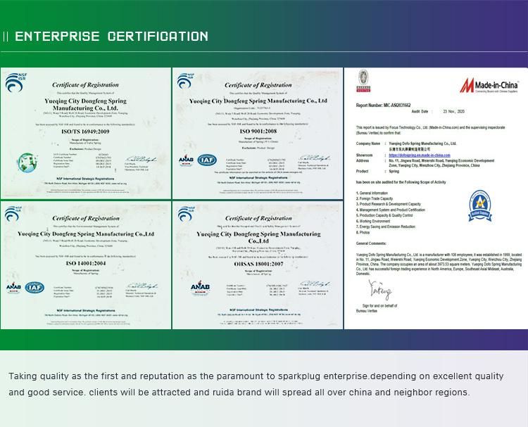 ISO9001 Ts16949 Manufacturer of Industrial Springs