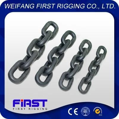 High Quality Nacm96 Standard G43 Chain