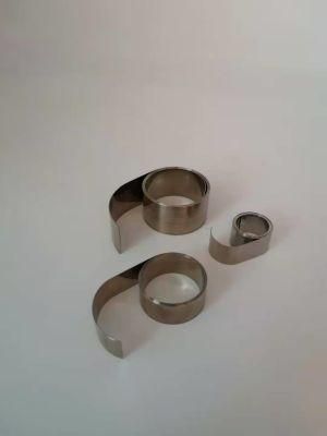 Higt Quanlity Customsize Stainless Steel Rewind Metal Spring