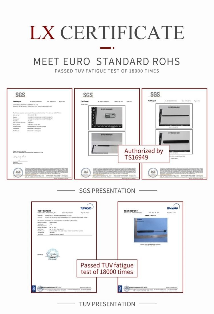High Quality Waterproof Ss316 Material Gas Spring for Marine