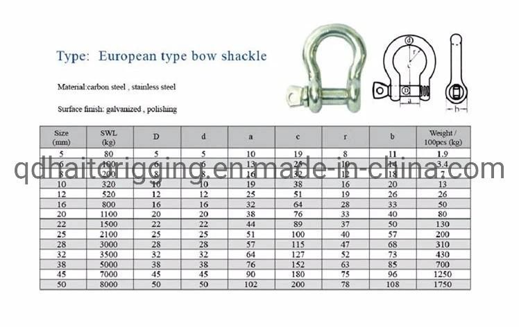 Hot Sale Stainless Steel Anchor Bow Shacklen Form Qingdao Haito