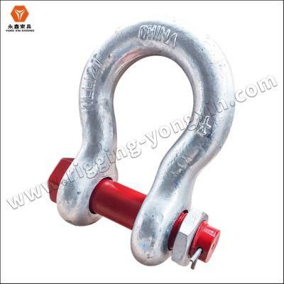 D/U Type Anchor Shackle Galvanized Screw Pin Alloy Steel Anchor Shackle