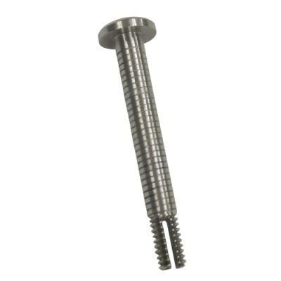CNC Turning Parts for Auto Parts Vivasd 250 Precion Stainless Steel Screw