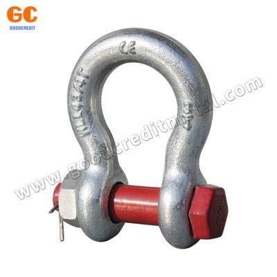 Drop Forged Screw Pin Anchor Shackle with or Without Collar