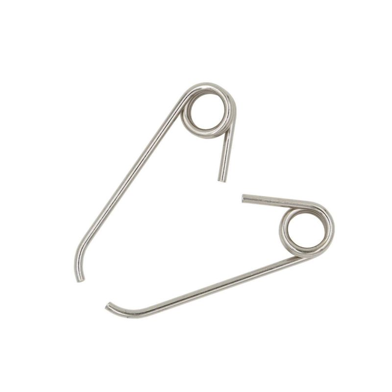Hot Style Precision Titanium Torsion Spring