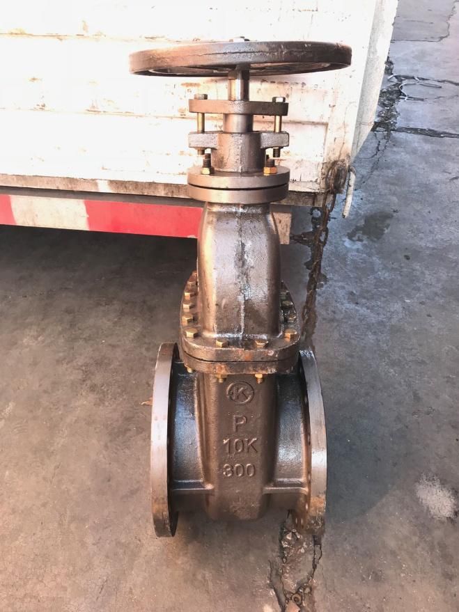 ANSI/DIN/JIS Standard Stainless Steel 2-Piece Flange Ball Valve, All Size Brake/Fuel/Control/Check/Butterfly/Chokejis 10K Korea Standard Metal Seated Gate Valve