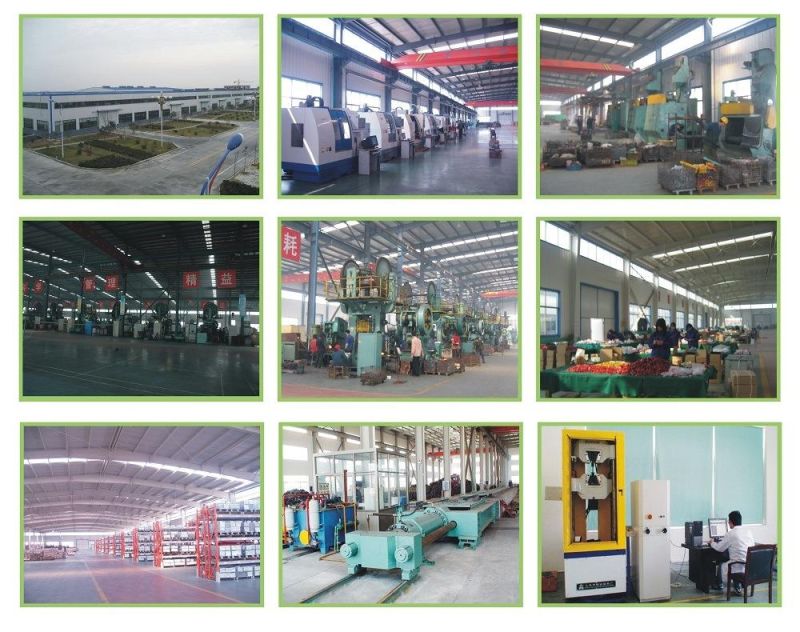 China Factory Sales Versatile-Style Forged Super Alloy Steel G Hook