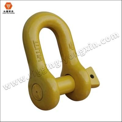 Wholesale Alloy Steel Forged Powder Coated Screw Pin Shackle for Bracelets