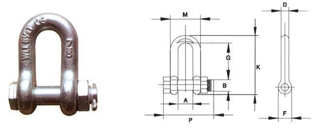 Us Type Galvanized Steel D Shackle for Marine Harware