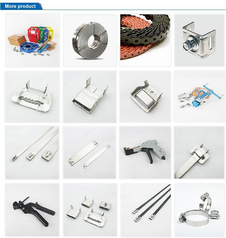 201 304 316 Ear-Lokt Stainless Steel Banding Strap Clip & Buckle