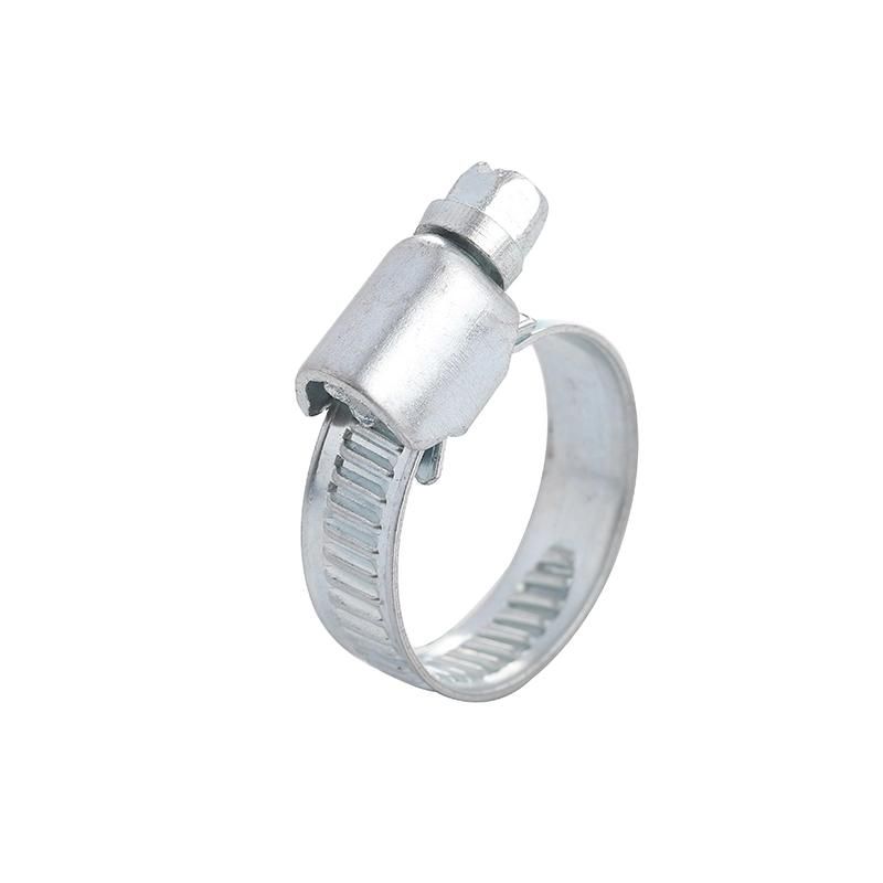 Germany Fastener Carbon Steel Hose Hose Clamp