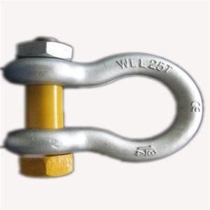 Bow Shackle D Type Shackle with Size Customized
