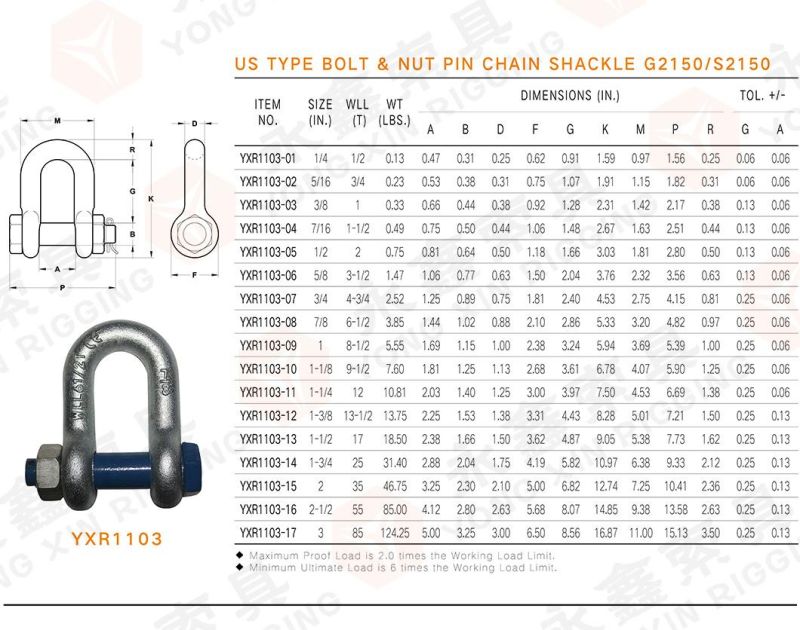 Shackle Bolt Brave Gold Factory Supply Stainless Steel 304/316 Shackle with Safety Bolt Pin