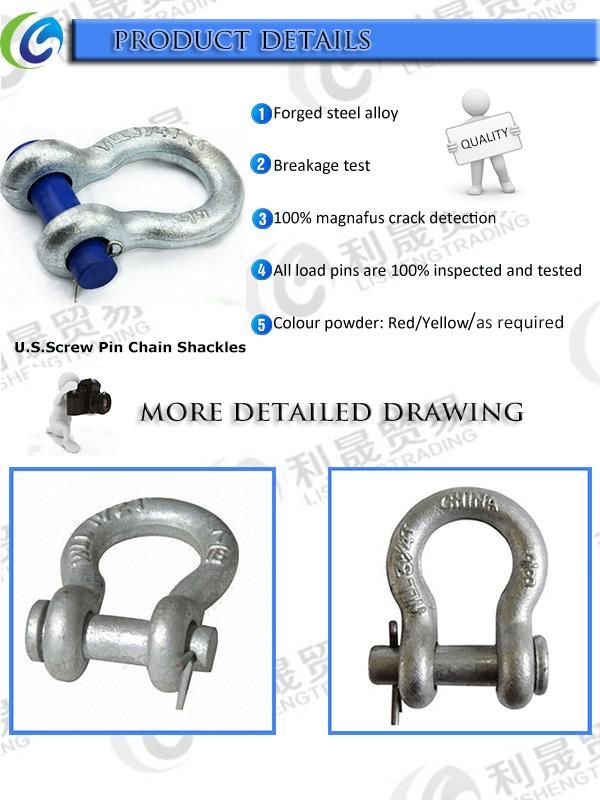 High Quality Stainless Steel or Carbon Steel Shackle