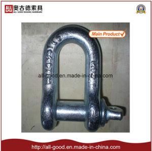 Us Type Forged D Shape Shackle with Pin