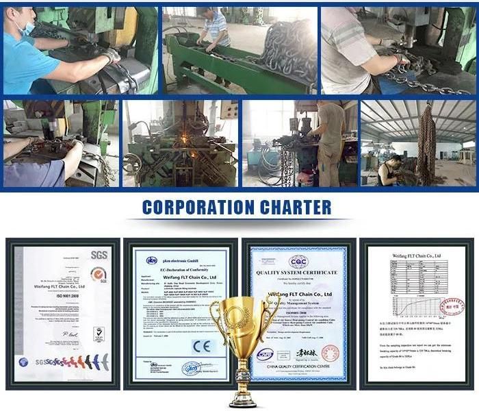 Hot DIP Galvanized Alloy En818-2 G80 Lifting Chain for Mining