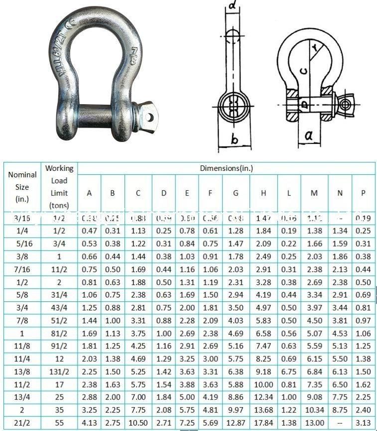 Zinc Plated Screw Pin Us Type G209 Bow Shackle Hot DIP Galvanized G209/G210/G2130/G2150 Shackle