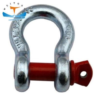 G209 Drop Forged Stainless Steel Screw Pin Anchor Bow Shackle