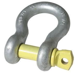 Galvanized European Type D Ring Shackle for Rigging Hardware
