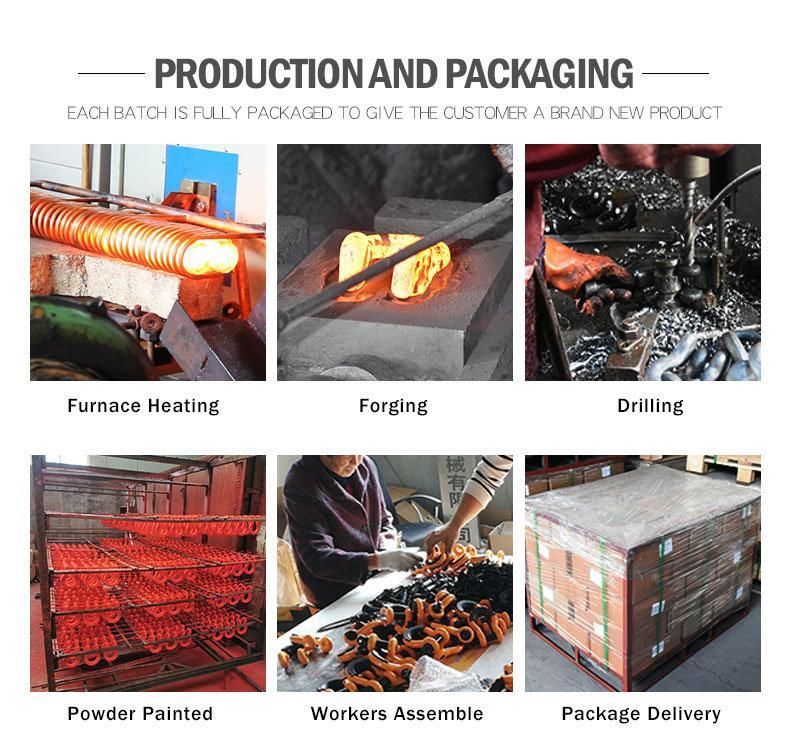 Thinkwell Forged Factory Price Carbon Steel Trawling Shackle