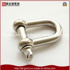 Stainless Steel European Type Large Dee Shackle