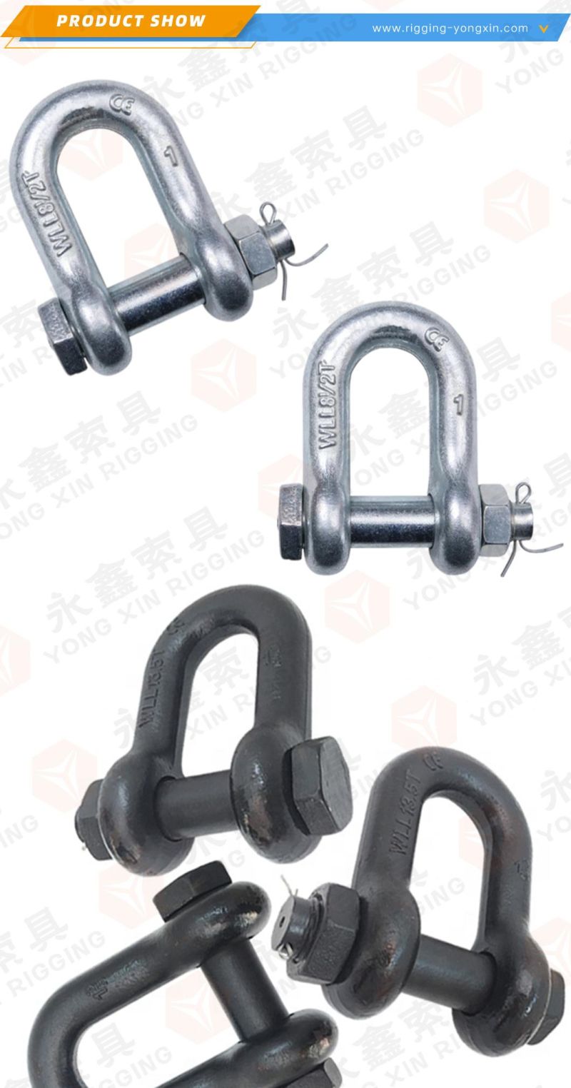 Shackle Bolt Brave Gold Factory Supply Stainless Steel 304/316 Shackle with Safety Bolt Pin