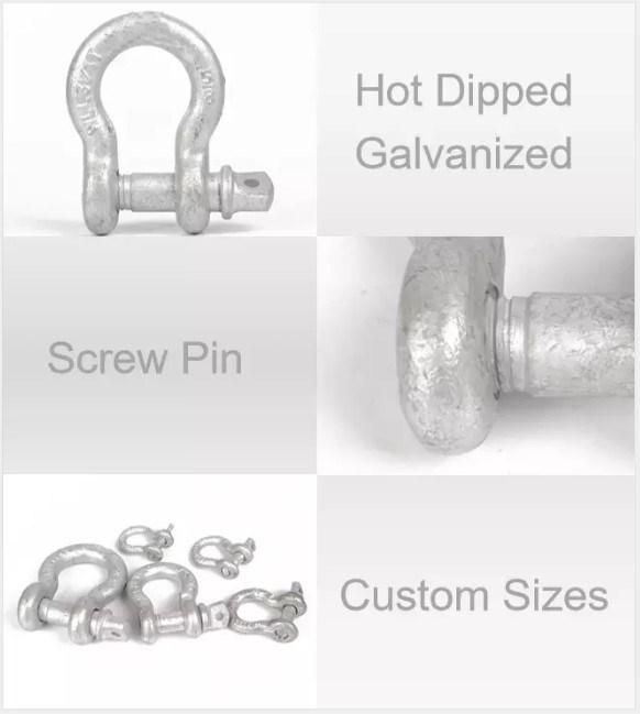 Hot Dipped Galvanized Carbon Steel Screw Pin Anchor Shackles