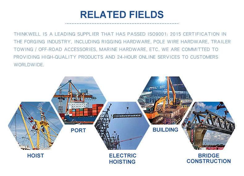 Forged Galvanized Steel Web Sling Lashing Delta Ring