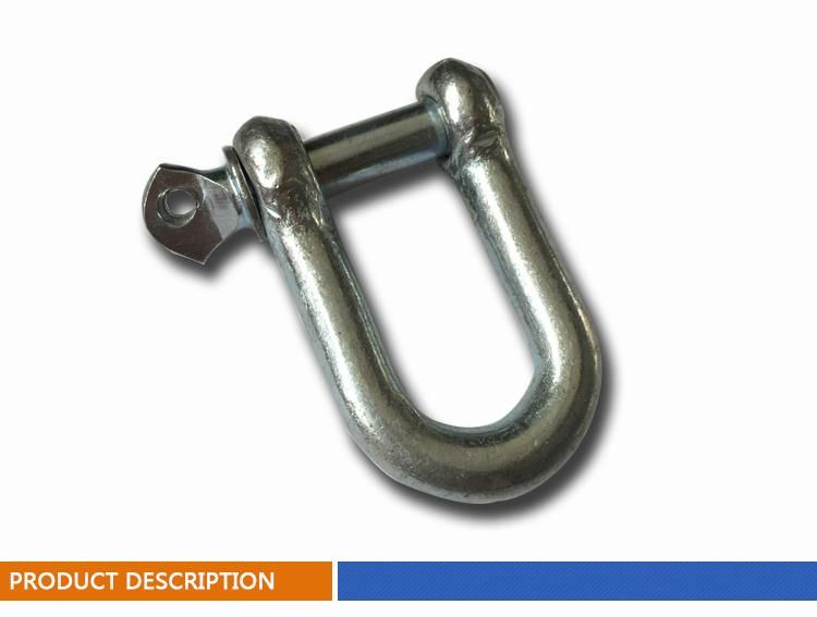 European Type Drop Forged Dee Shackle